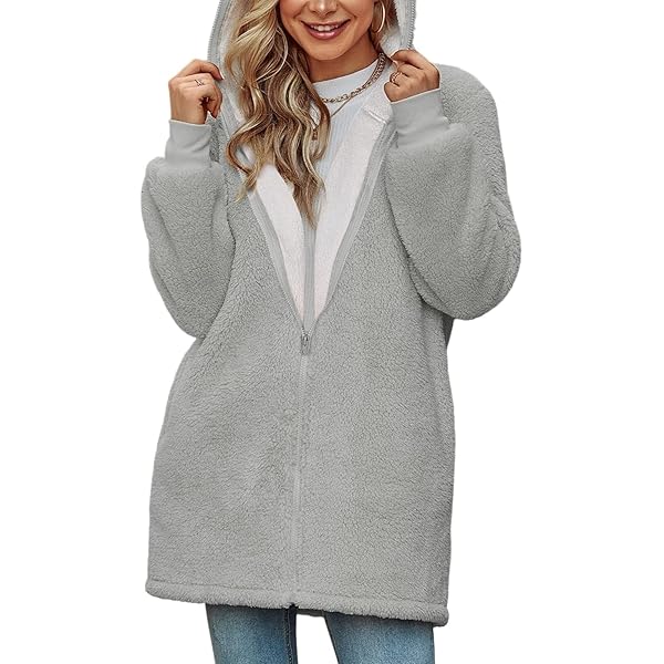 Teddy fleecejack voor dames, overgangsjas, twee-weg ritssluiting, winterjas, wollig, pluche jas, warme behaaglijke jas, outdoor, sweatjack, effen, vrijetijdsjas, winterjas met zakken, beige, XL