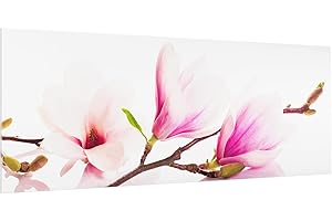 Bilderwelten Spritzschutz Glas - Zarter Magnolienzweig - Panorama Quer, HxB: 50cm x 125cm