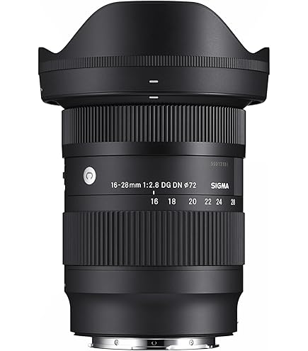 SIGMA 28-70mm f2.8 lマウント Sigma 28-70mm F2.8 DG DN for L-Mount: Amazon.co.uk: DIY & Tools