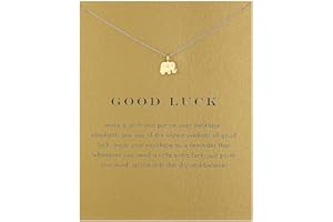 upeilxd Compass Pendant Necklace Gold Brave Inspirational Message Card Necklaces Friendship Sun Good Luck Adventure Mountain Pendant Chain Necklace for Women Girl Gift