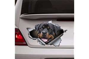BYRON HOYLE Rott Auto-Aufkleber, Rottweiler, Auto-Aufkleber, Haustier-Aufkleber, 3D, lustiger Auto-Aufkleber, Fenster-Aufkleber, Vinyl-Stoßstangenaufkleber, Laptop-Aufkleber