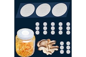 BIOMED SOLUTIONS Adesivi di carta filtrante sintetica da 58 mm, 0,3 μm, disco filtrante in PTFE, forte toppa adesiva per la coltivazione di funghi (24 pezzi)