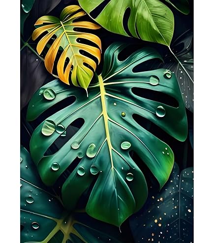 PAWANG 5D Diamantmalerei Alice Im Wunderland, 30x40 Cm – DIY Kreuzstich-Kit Mit Strass, Vollbild, Für Entspannung