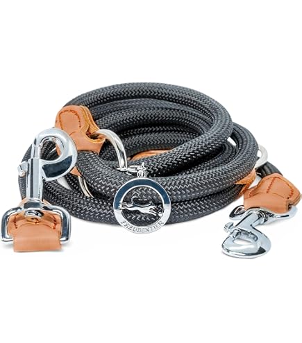Lederleine braun aus Fettleder, Messing 3m verstellbar (3m x 10mm) :  Amazon.de: Haustier