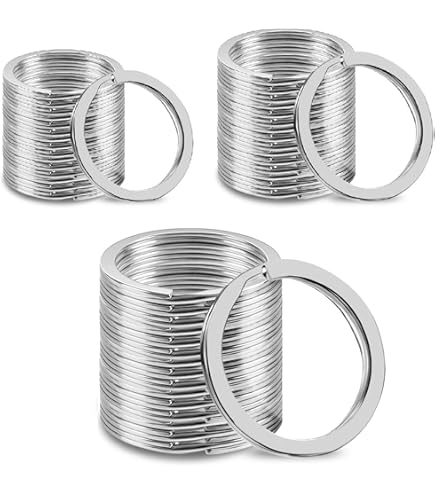 80 stuks sleutelringen zilver 2 x 25 mm sleutelhangers ringen ijzer metalen ringen kleine ronde ring om te knutselen, platte ring, verbindingsringen voor huissleutels, autosleutels, doe-het-zelf