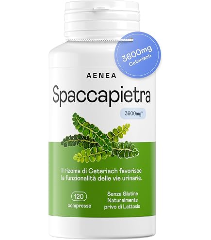 5 SACCHI SACCHETTI ASPIRAPOLVERE ROWENTA BIDONE MULTICRAFT BULLY RW 15
