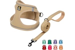 BELLA & PAL Hundegeschirr Kleine Hunde mit Leine, Step-in Geschirr aus Air Mesh, Anti Zug Reflektierend Atmungsaktiv Brustgeschirr, Welpengeschirr für Kleine Hunde, Katzengeschirr, Khaki, XXS