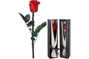 Bixury Rosa Stabilizzata Vera con Steli Rosa Eterna Stabilizzata Rosso Rosa Naturale Conservata San Valentino Regalo Compleanno Kit di Rose Decorazioni Regalo per Mamma Fidanzata Moglie