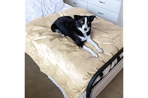 Pawsee Coperta impermeabile per cani, copridivano lavabile per animali domestici, tappetino di protezione per mobili antiscivolo, 150 x 120 cm