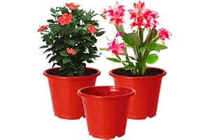 Heart Home Plastic Planters|Gamla|Flower Pots for Garden Nursery Home Décor,8"x6",Pack of 3 (Red)