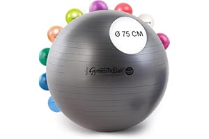 ‎PEZZI PEZZI Original Gymnastikball MAXAFE Ø 42 cm bis 75 cm Sitzball Gymnastik Sport Ball Büro Fitness Reha Therapie