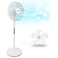 Duronic Pedestal Fan FN30, Electric Cooling Fan, Floor Standing, Lightweight Height Adjustable Tilt, 5 Blades, 4 Speeds, High Velocity Oscillating Air Cooler Stand for Home Bedroom Office Gym - White