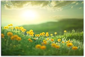 AUGENBLICKE WANDBILDER 120 x 80 cm - Photo Print on Canvas and Frame Flower Meadow Spring Sun Nature - Canvas Picture on Stretcher Frame Modern Stylish - Pictures and Decoration