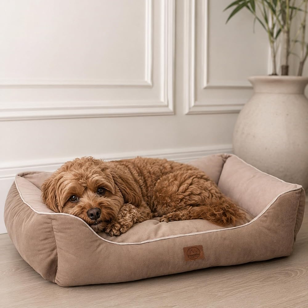 Jungolica Lucy Köpek Yatağı 40 × 55 × 18 cm Kahve Bej - Rahat ve Dayanıklı Pet Yatağı, Ortopedik Destekli, Yıkanabilir, Yumuşak Minderli Uyku Alanı Köpek Yatak (M)