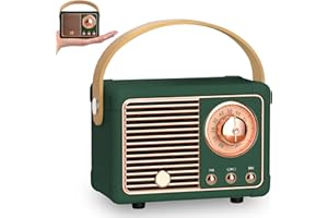 PORFOYO Mini Haut-Parleur Bluetooth Rétro, Portable Haut-Parleur sans Fil avec Radio FM, Rechargeable Poste Radio Vintage, Bluetooth 5.0/USB/TF/Aux, pour Vintage Décoration (G)