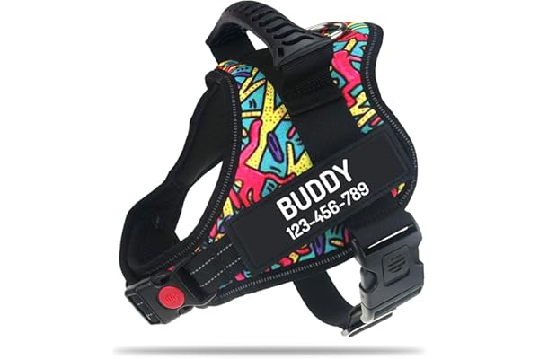 PawPawify Arnés para perro personalizable con nombre y número de teléfono. Chaleco resistente para mascotas que evita que el animal se mueva, pegue tirones o se ahoge, para adiestramiento y caminatas