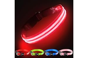 PcEoTllar Collier Chien Lumineux, Rechargeable Clignotant Collier Chien LED Etanche pour Sécurité Nocturne Collier LED Réglable pour Petits Moyens Grands Chiens, Rouge M