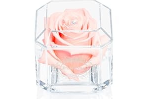 A 100% Real Rose That Lasts Years - Eternal Petals, Handmade in UK – White Gold Solo with A Multicolor Swarovski Crystal (Blush)