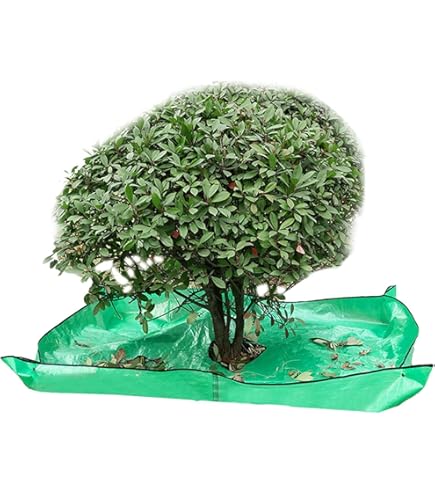 Landscape Tarpaulin For Tree Pruning - 2 X 2 M Topiary Mat Waterproof - View #3