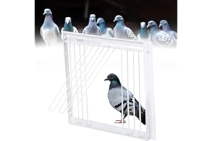 MOGOULUA Vogelkäfig T-Trap Tür Taube Eingangstür Haustier Vögel Einweg-Fenstertür Vogelkäfig Tür für Renntaube Taube Haus Eingangstür Eisen Papagei Eingangstür Vogelzucht Zubehör 33 x 26 cm
