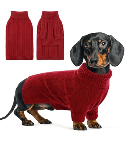 Pull Pour Chien D’hiver – Tissu Extensible Avec Trou Pour Harnais – Tailles XS à XXL (Bouledogue, Carlin, Labrador…)