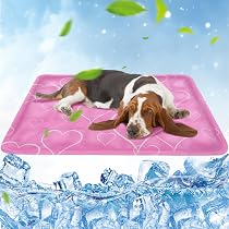 Große Kühlmatte Für Hunde 90x50cm – Selbstkühlendes Gel, Kratzfest & Waschbar