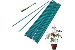 WIEERDA Garden Stakes, 50 Pieces 30cm Bamboo Sticks Plant Support Sticks with Twist Ties, Green Plant Stakes for Garden or Home Floral Picks Gardening Tripods Makin