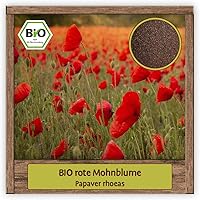 BIO Mohnblumen Samen Klatschmohn Sommerblume mit großen rot leuchtenden Blüten Wildblumensamen für Bienenweide