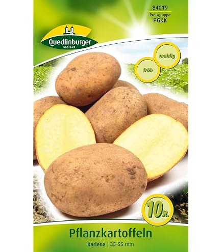 Quedlinburger 84020 Pflanzkartoffel Annabelle (10 Stck) (gelb,  festkochend, sehr frh) : Amazon.de: Lebensmittel & Getrnke