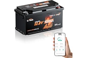 LiTime Batteria Litio 12V 100Ah con Bluetooth e 200A BMS, Batteria LiFePo4 12V H190 con Ingresso 2C, Riscaldamento Intelligente e Protezione Basse Temperature, Max Potenza 2560W, per Caravan, Camper