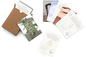 LUCKIES Affirmation Cards | 52 Meditation Cards For Self Care | Positive Affirmation Card for Women | Meditation Gifts & Meditating Accessories | Stress Relief Gifts For Women | Positivity Card