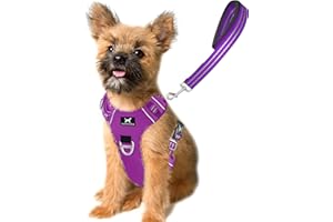 TUFFDOG Easy-Fit Dog Harness Small Dog - Fast Release Neck Clip, Premium Padded Reflective No Pull Harness with Control Handle, Adjustable Step-in Dog Vest Plus Free Matching Lead (S, Vivid Violet)