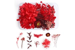 WJIAEER Trockenblumen Zum Basteln Trockenblumen Gepresste Blumen Trockenblumen Deko Getrocknete Blumen(I)