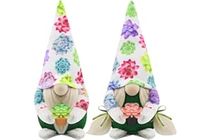 Gehydy Set of 2 Summer Gonks Decoration Easter Succulent Gnome Handmade Spring Decor for Home Kitchen