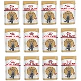 Royal Canin British Shorthair Cat Wet Food 85 Gr. X 12 Pieces