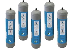 BELLEROFONTE Bouteilles Co2 600 g jetables raccord M11 x 1 pour distributeur - gazeur eau pétillante récipient en acier N° 5 bouteilles