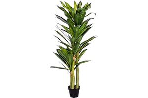 PLANTASIA Pianta Artificiale - Dracena, Decorativo, con Vaso, Tronco Naturale, da Interno, Realistico, Alta 120 cm - Dracaena, Albero Finto, Arredo, Decorazione Casa, Ufficio, Soggiorno, Balcone