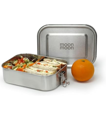 Indian Tiffin Edelstahl-Lunchbox – Doppelschichtig Mit Trennwand, 820 Ml, BPA-frei