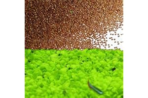 SELCOUTH YYDS Grass Seeds Fast Growing,10g About 7500Pcs Organic Aquatic Plants Grass Seeds for Fish Tank Aquarium(Small Double Leaves)