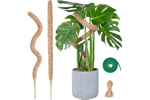 Böjbar mossstång för växter, SproutMaven 2 x 60 cm/23,6 tum Monstera mossstång kit för klätterväxter handgjorda smala växtpin