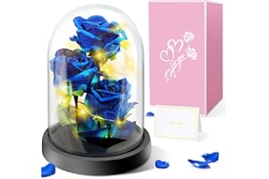 Touloube Rosa Eterna Regalos del Día de la Madre para Mamá,Regalo de Flor de Rosa para Ella -3 Rosas de Seda Azul con Luz LED en una Cúpula de Cristal para el Día de la Madre Aniversario Cumpleaños
