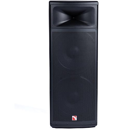 Intimidation 2x PI-215 MK3 1000W RMS Twin 15