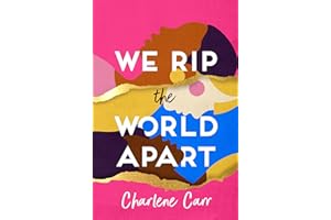 We Rip the World Apart: A sweeping story about motherhood, race and secrets