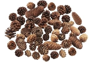Jangostor 40 Pezzi Pigne Natalizie, Dimensione Multipla Naturali Pigne Decorative Per Decorazione da tavolo Albero di Natale Regali artigianali Ringraziamento