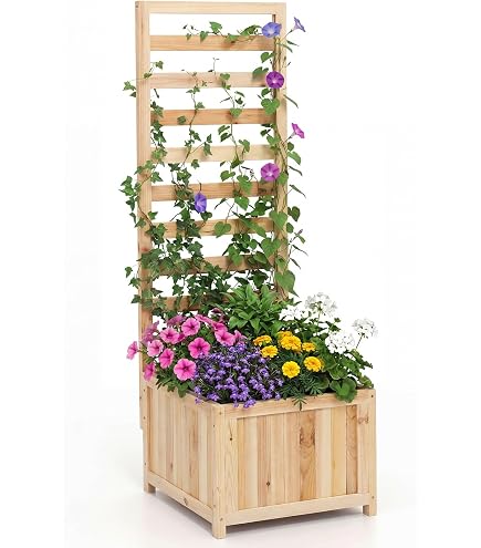 Burger Efeu-/Blumenkasten aus Holz mit Rankgitter : Amazon.de: Garten