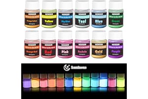 HEMOER Polvere Fluorescente, 12 Colori Polvere Luminosa per Pittura, Unghie, Artigianato Fai-da-Te, Resina Epossidica, Viso, Corpo, Pigmento di Fluorescente-12 x 20g