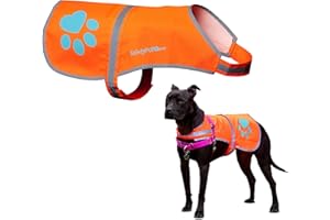 SafetyPUP XD Hund Warnweste, Größen passen Hunde 14 lbs bis 130 lbs Blaze Orange Groß
