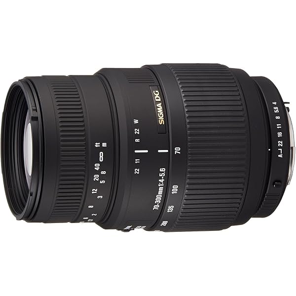 Tamron SP70-300 F/4-5.6 Di USD Objektiv für Sony Kameras: Amazon 