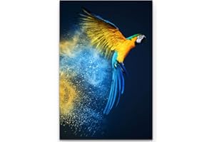 Paul Sinus Art Tableau de qualité sur toile tendue sur toile Ara, 90 x 60 cm