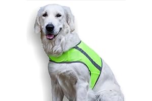 FINNERO ATTE Reflektierende Hundewarnweste, Hohe Sichtbarkeit, Sicherheitsweste (Gelb, XS)